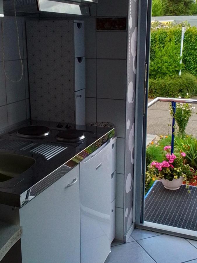 Flat Apartment Offenburg Ngoại thất bức ảnh